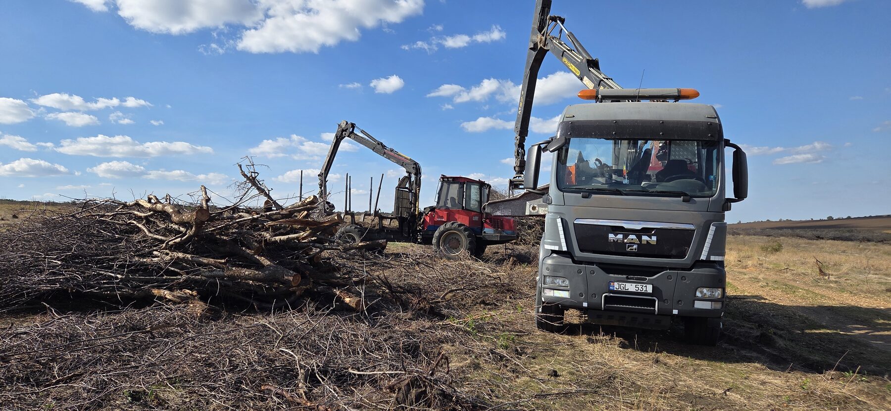 Cap tractor MAN TGS cu macara Epsilon Palfinger și forwarder forestier la încărcarea materialului lemnos pe teren