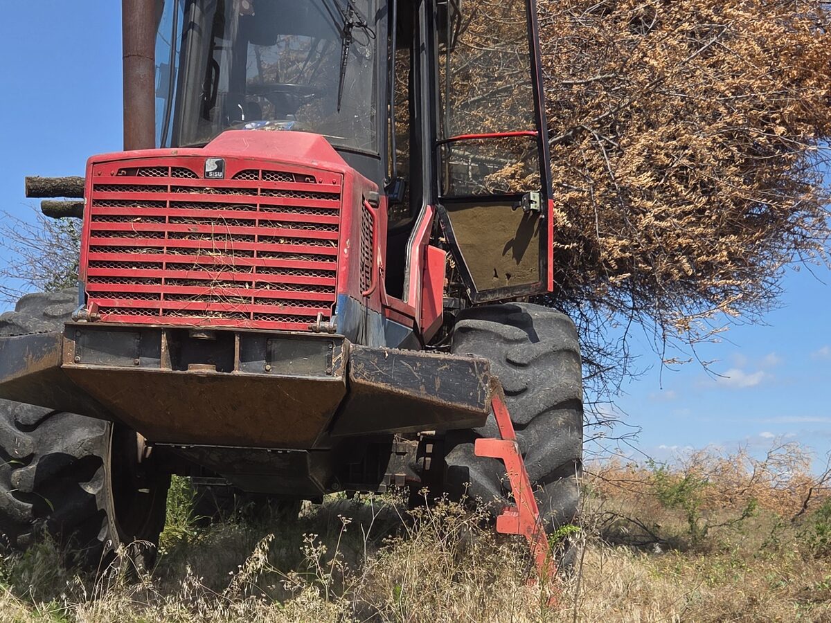 Forwarder forestier lângă un rând de pomi defrișați, pe teren uscat